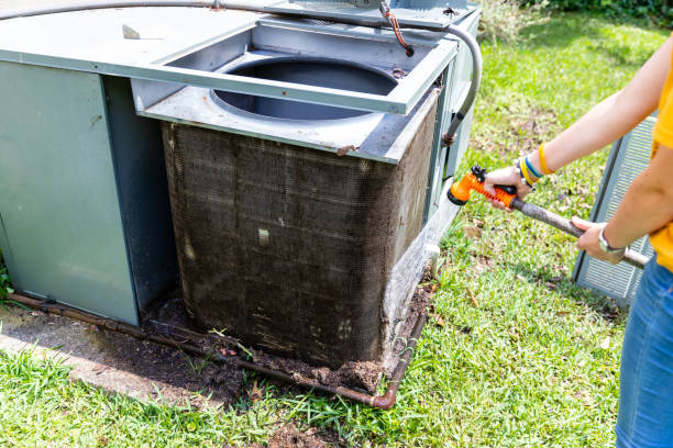 Best Duct Cleaning Specialists  in Farley, IA